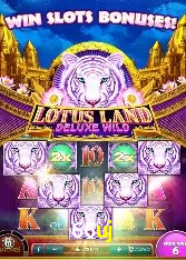 Estatísticas do Jogo 66uj